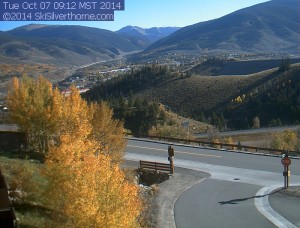 Silverthorne Aspen leaves changing in the Fall