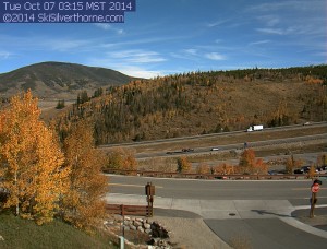 Silverthorne Aspen leaves changing in the Fall