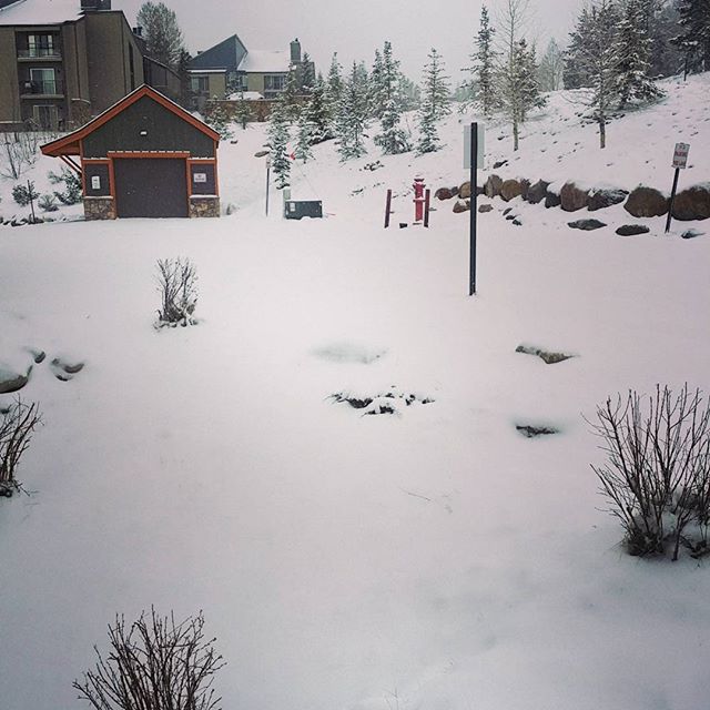 Three inches of fresh powder last night! Temperature is 27F. Breckinridge snow report is predicting sunshine today. April skiing is always the best! Breckenridge snow report here:

Skisilverthorne.com/BreckSnowReport

#aprilskiing #SkiSilverthorne #Silverthorne #Breckenridge