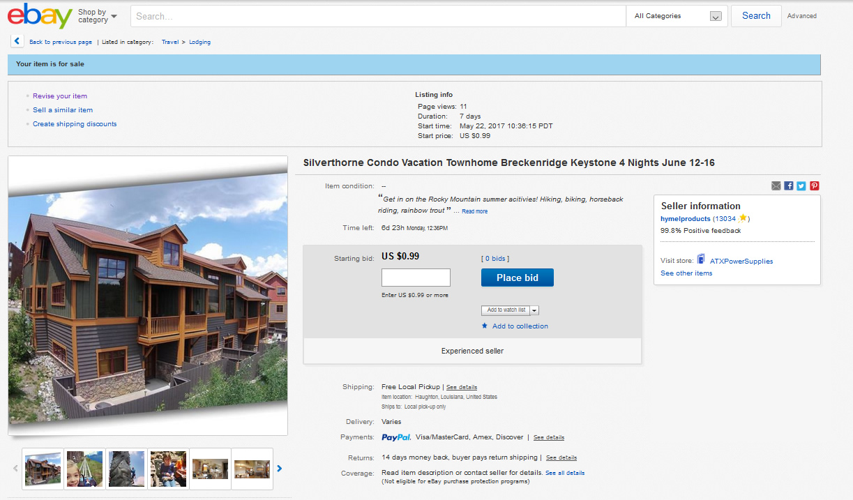 Ebay Auction for Ski Silverthorne Lodge