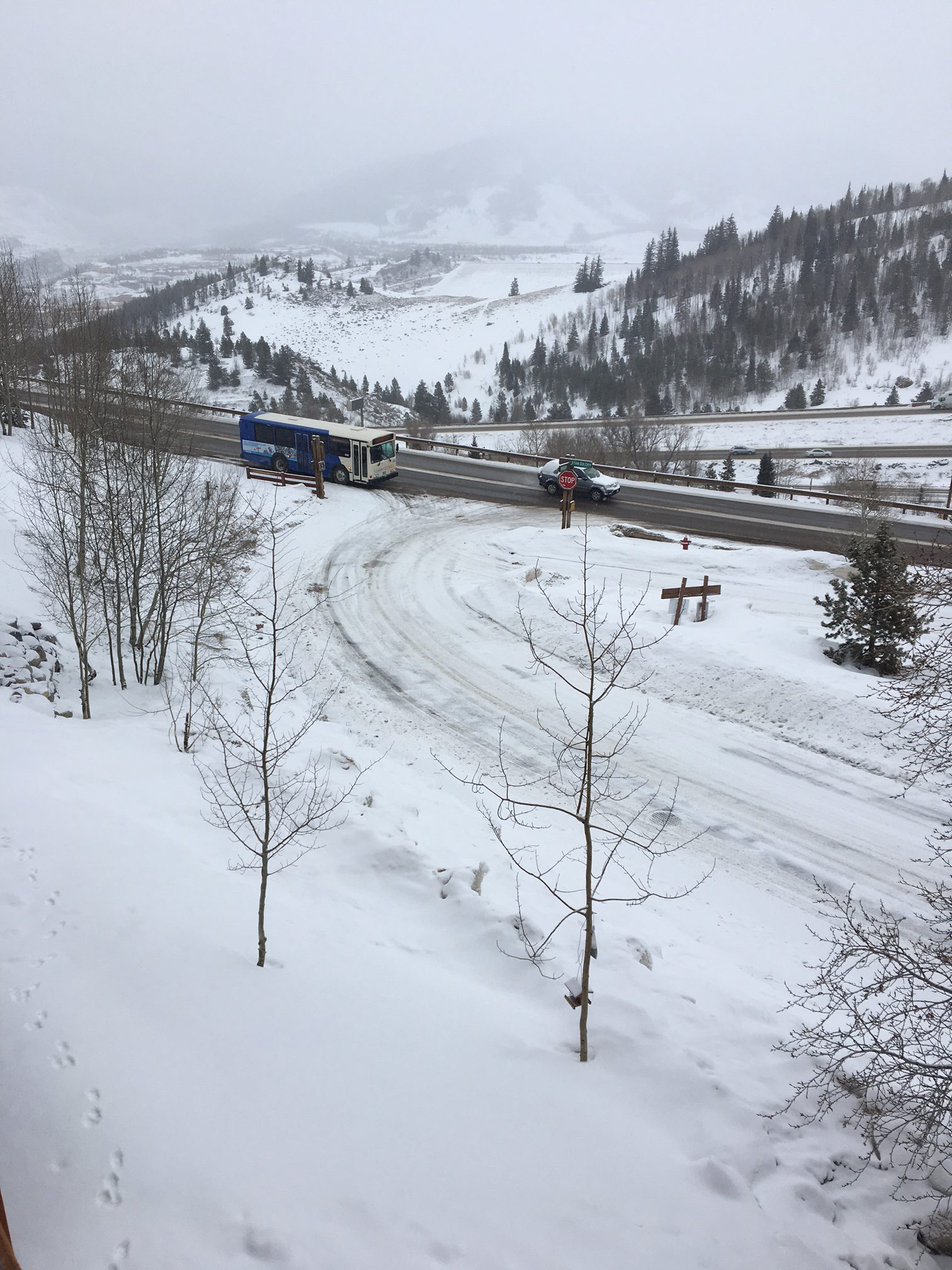 Is the Snow Good today? I dont know, what do you think?