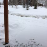 snow in Silverthorne colorado on 2/24/17