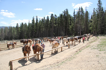 Horseback Riding in Breckenridge Silverthorne