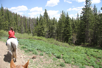 Horseback riding in the mountains