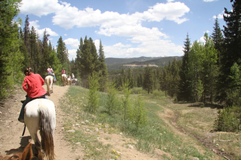 Whitecap mountains in the distant