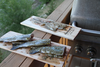 Rainbow Trout Fishing in Silverthorne, Colorado