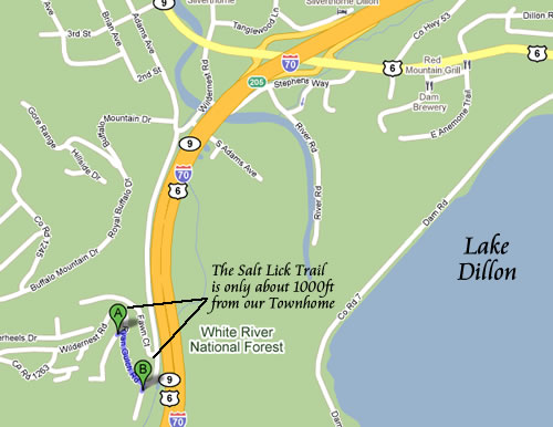Directions to Salt Lick Trail