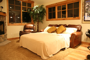 Ski Silverthorne Lodge sleeper sofa